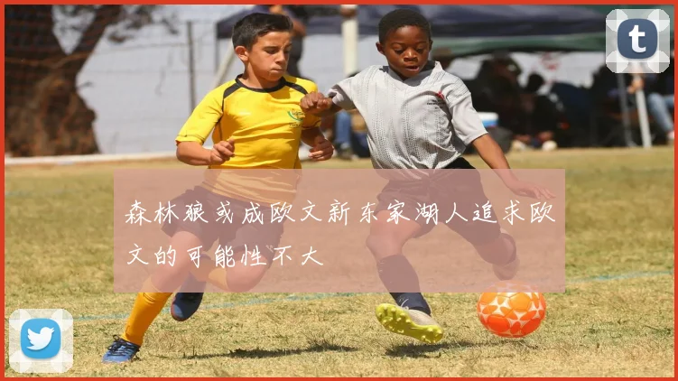 森林狼或成欧文新东家湖人追求欧文的可能性不大